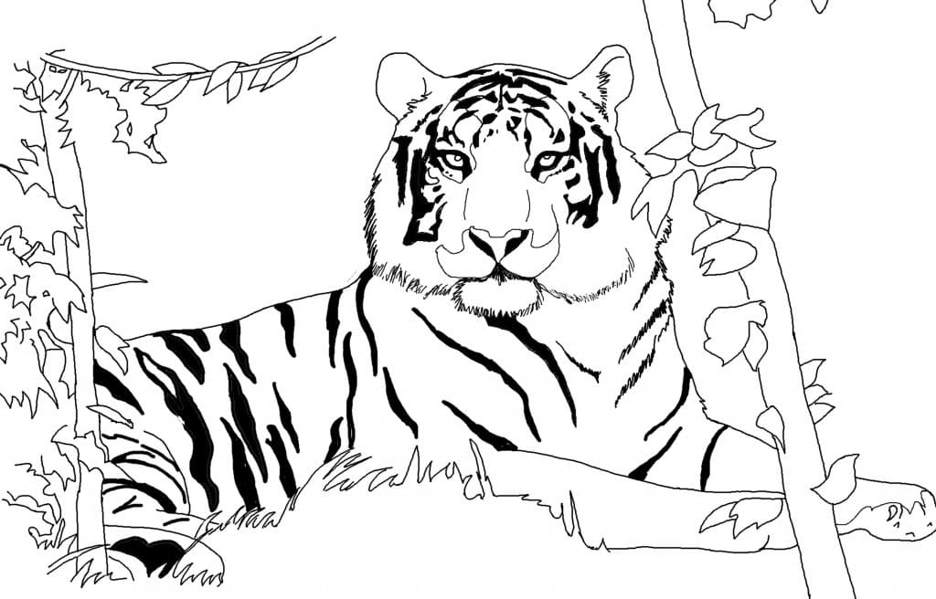 Cute Tiger coloring page | Free Printable Coloring Pages