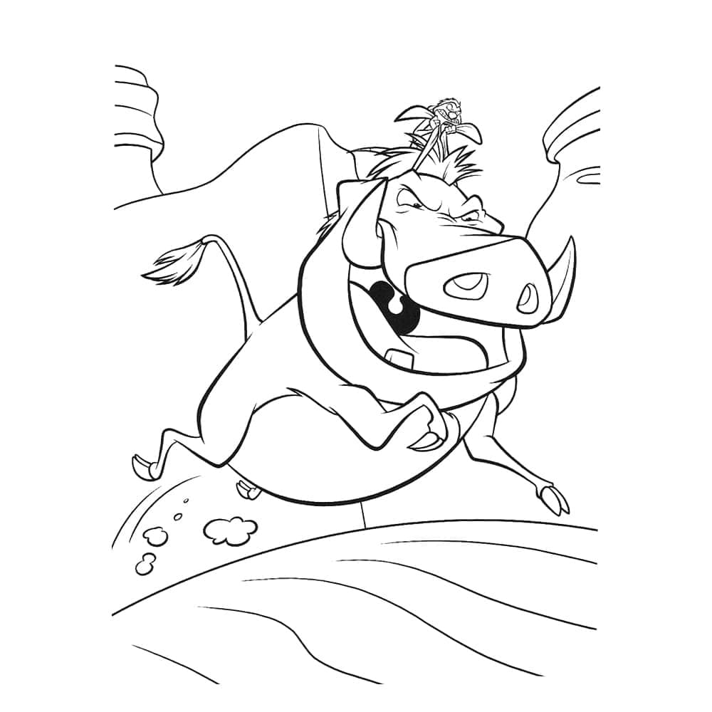 Timon and Pumbaa Running