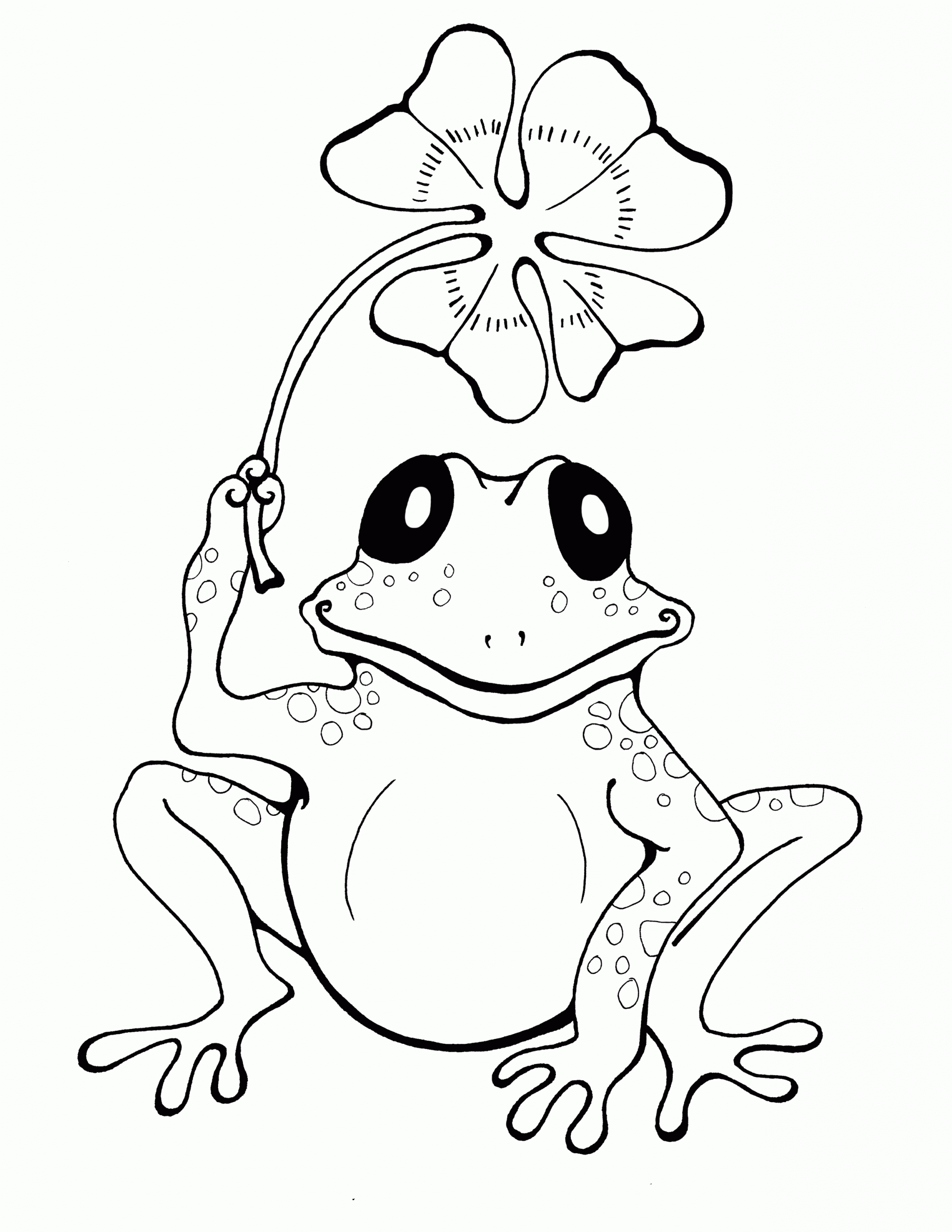 Toad 3