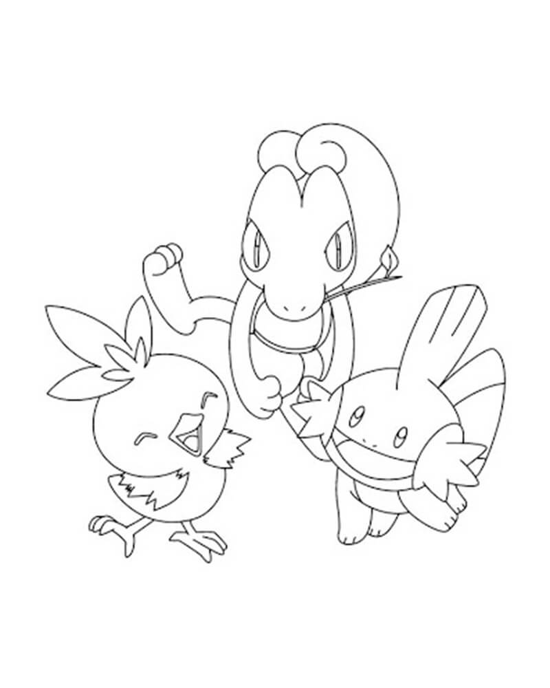 Torchic and Friends Coloring Page - Free Printable Coloring Pages for Kids