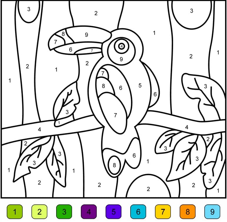 Toucan Color by Number