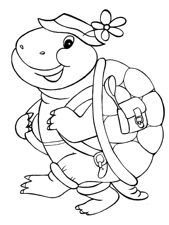 Turtle Traveller