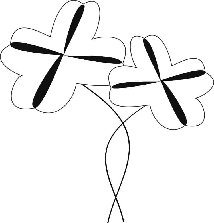 Two Four-leaf Clovers