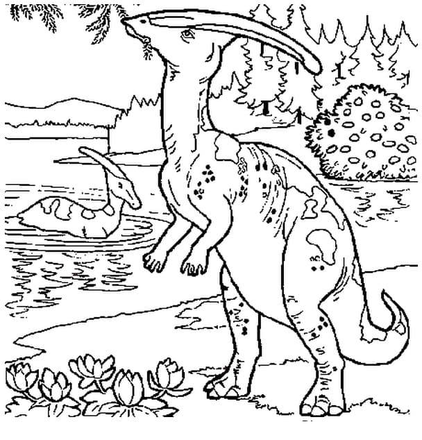 Two Parasaurolophus