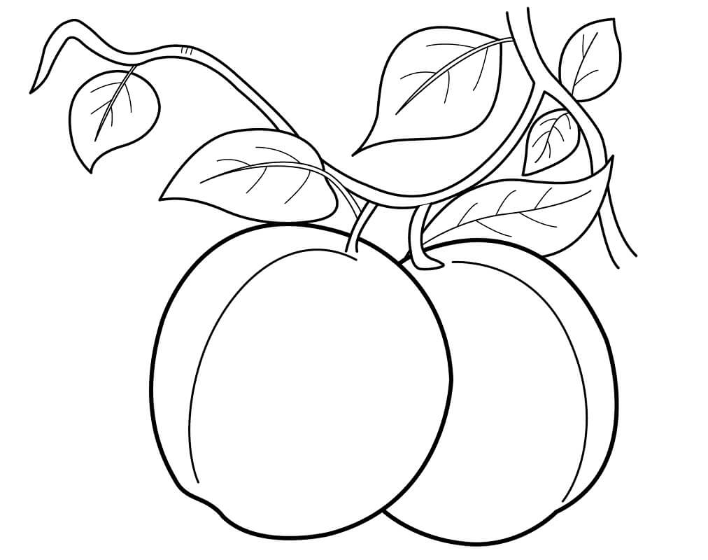 Peach 1 Coloring Page - Free Printable Coloring Pages for Kids