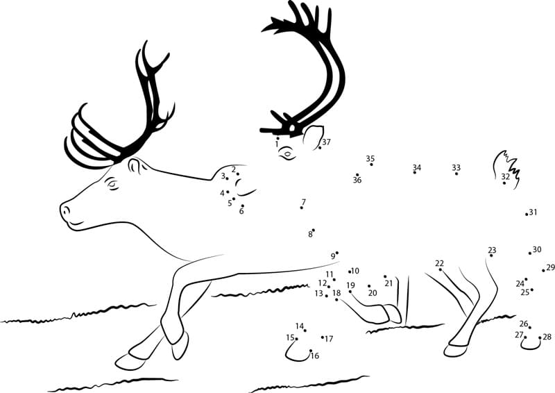 Two Reindeers Dot to Dots
