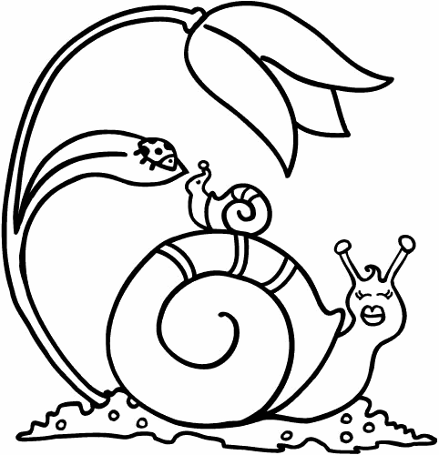 Two Snail Coloring Page - Free Printable Coloring Pages for Kids