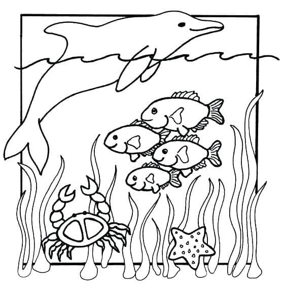 under the ocean coloring page free printable coloring pages for kids