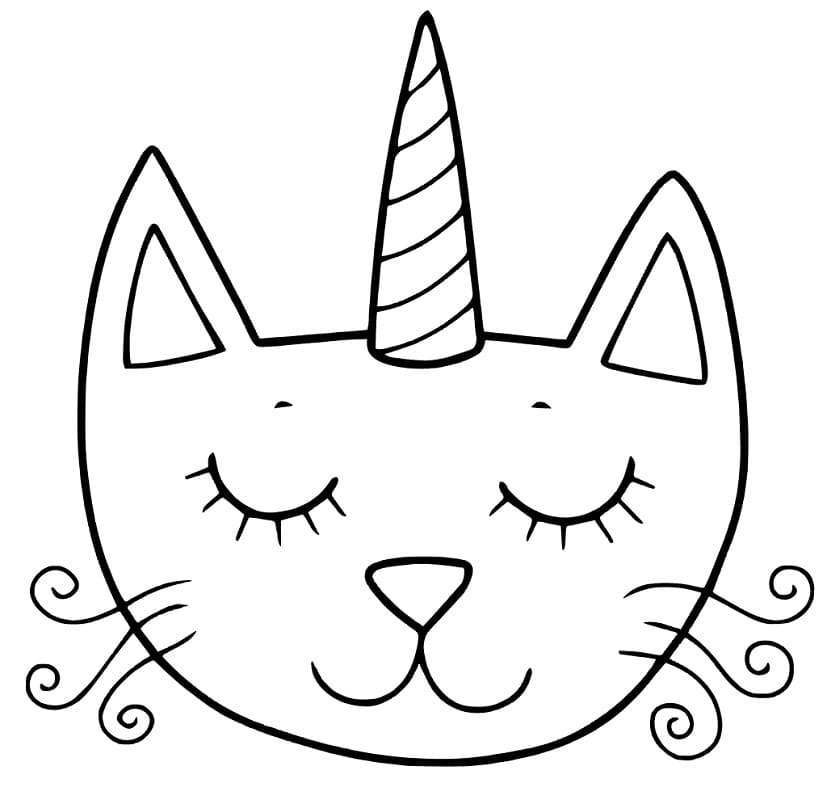 Unicorn Cat Happy Face