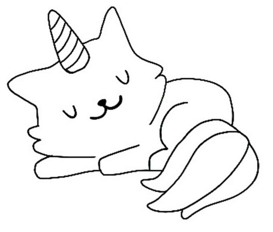 Unicorn Cat is Sleeping