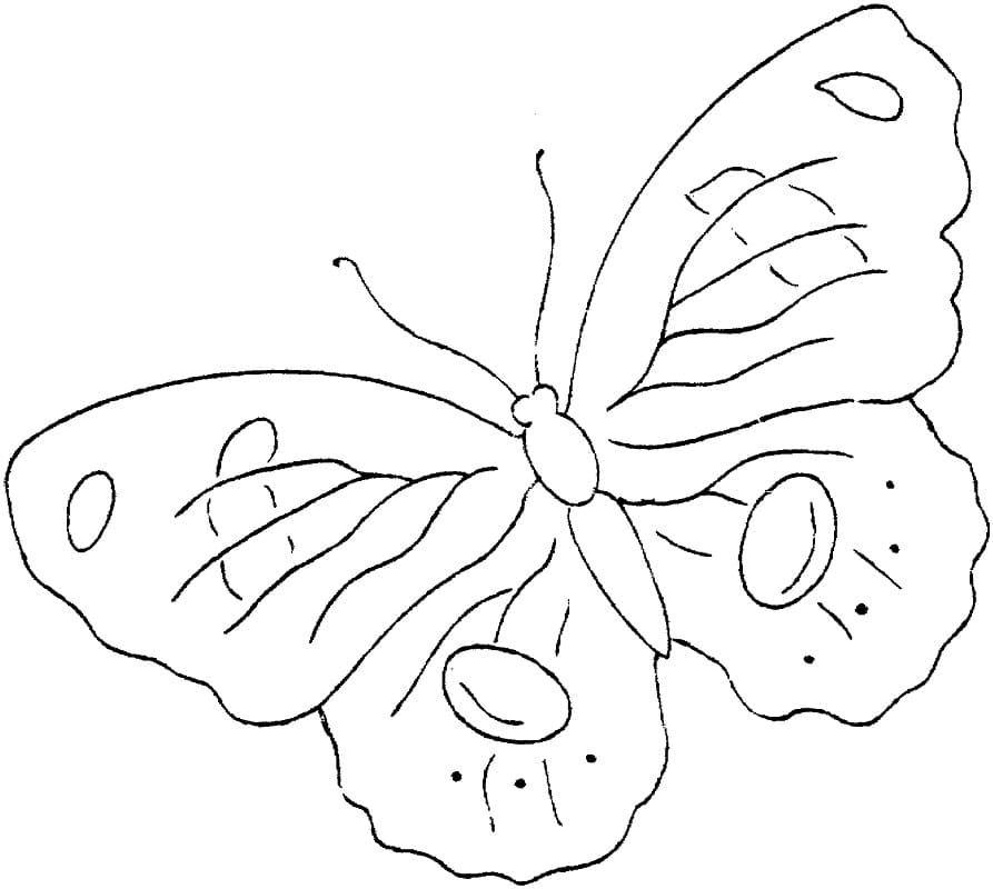 Very Easy Butterfly