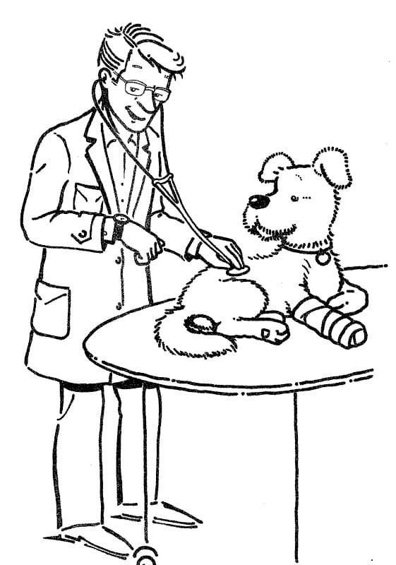 Veterinarian and a Dog