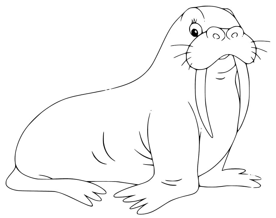 A Simple Walrus Coloring Page Free Printable Coloring Pages For Kids