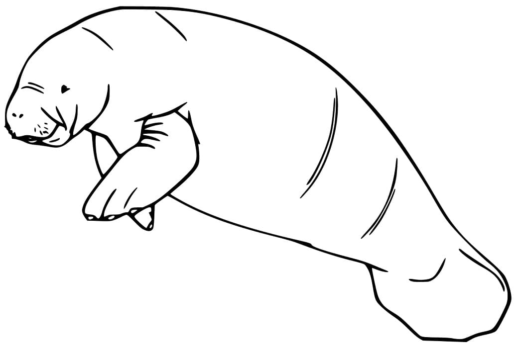 Manatee and Baby Coloring Page - Free Printable Coloring Pages for Kids