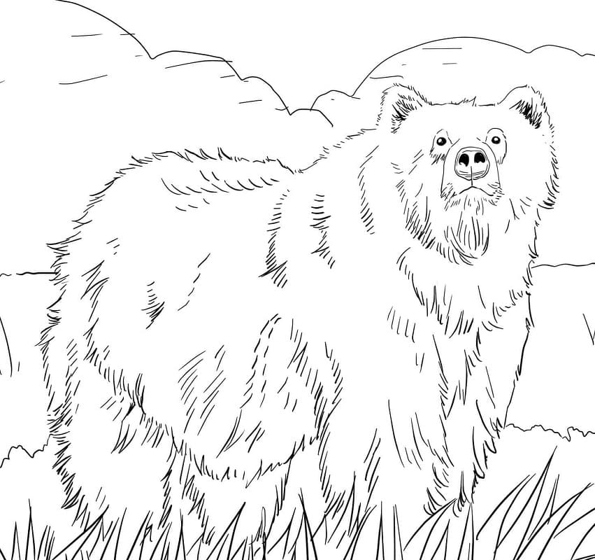 Bear Coloring Pages Free Printable Coloring Pages For Kids