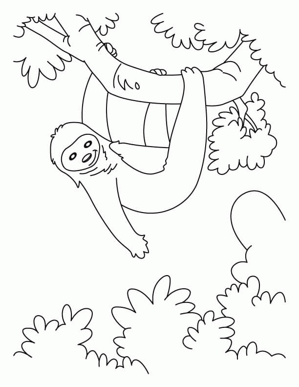 Kawaii Sloth Coloring Page - Free Printable Coloring Pages for Kids