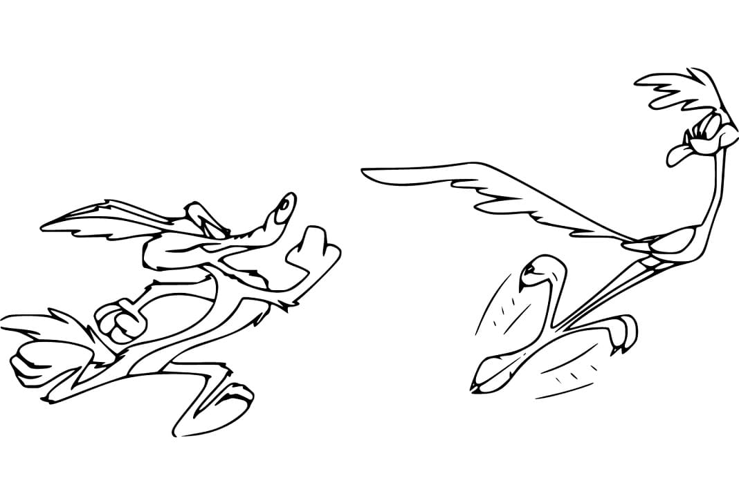 Wile E Coyote Chasing Road Runner