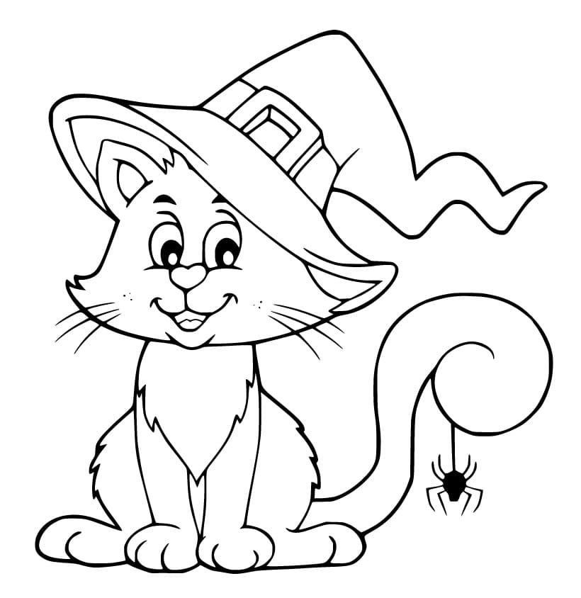 Witch Cat and Spider