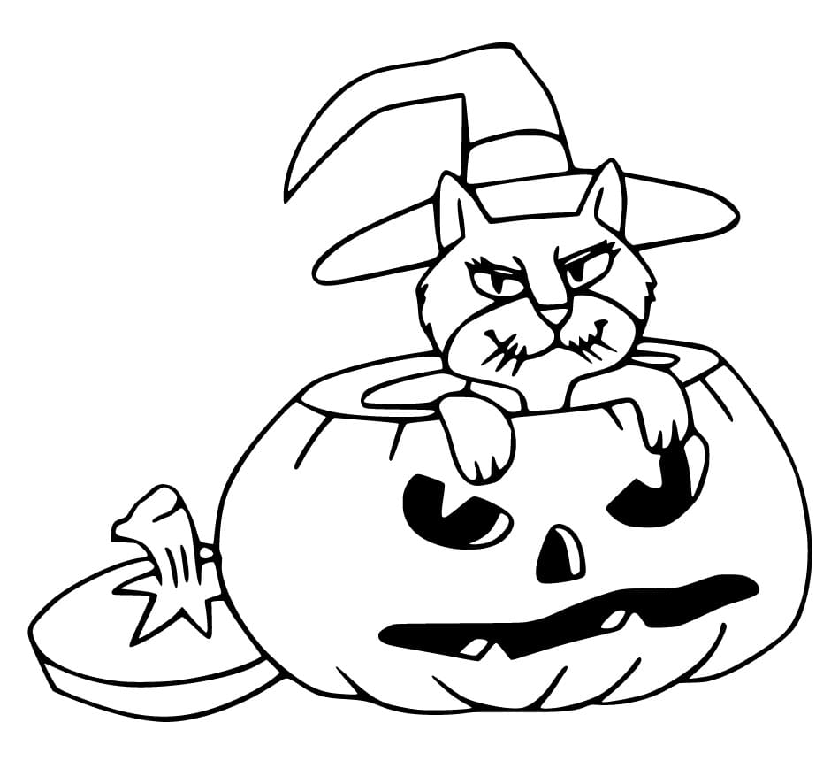 Witch Cat in Pumpkin