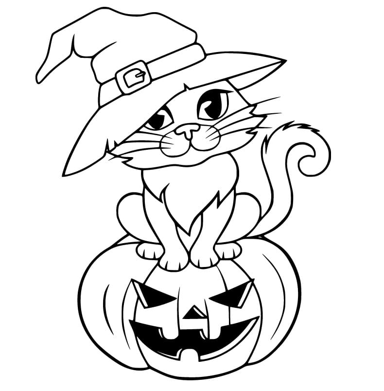 Witch Cat on Jack O Lantern