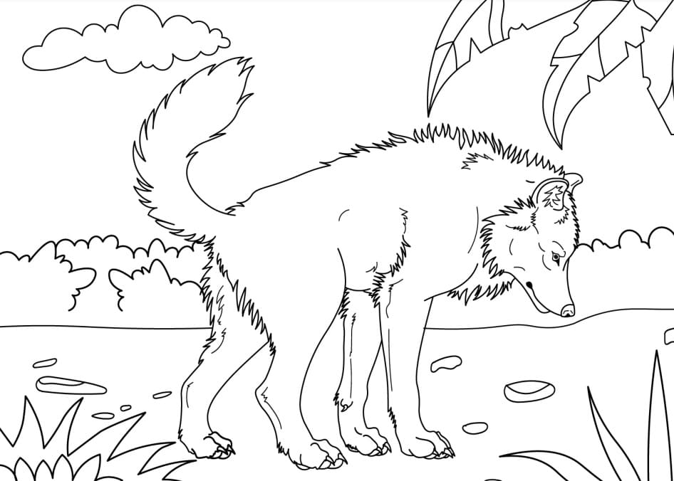 wolf coloring pages free printable coloring pages for kids