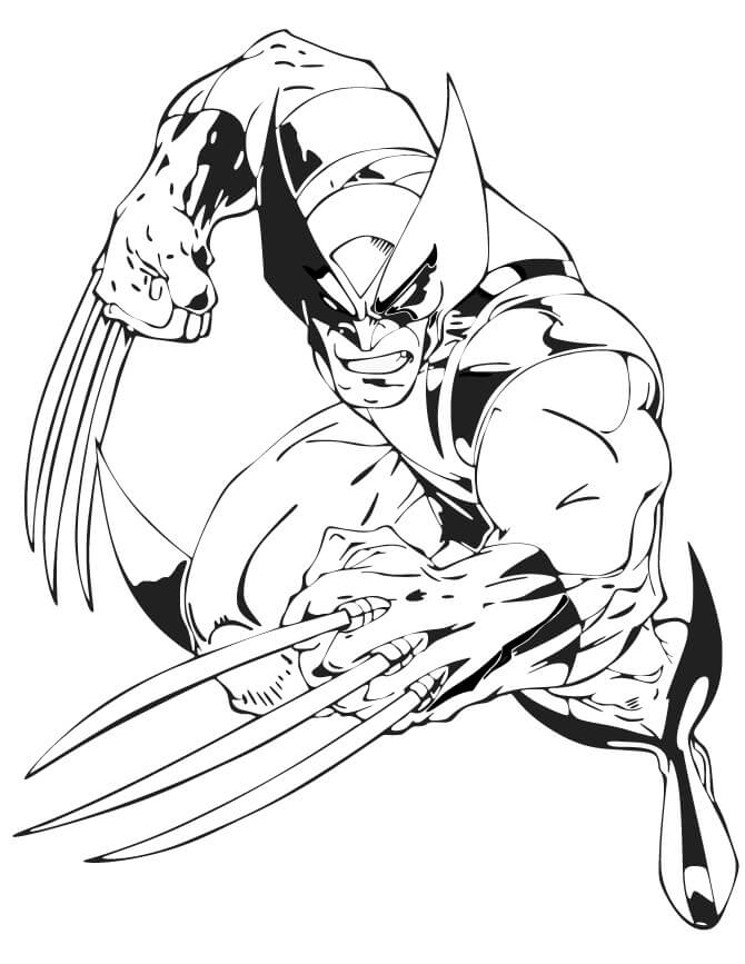 Wolverine Fighting