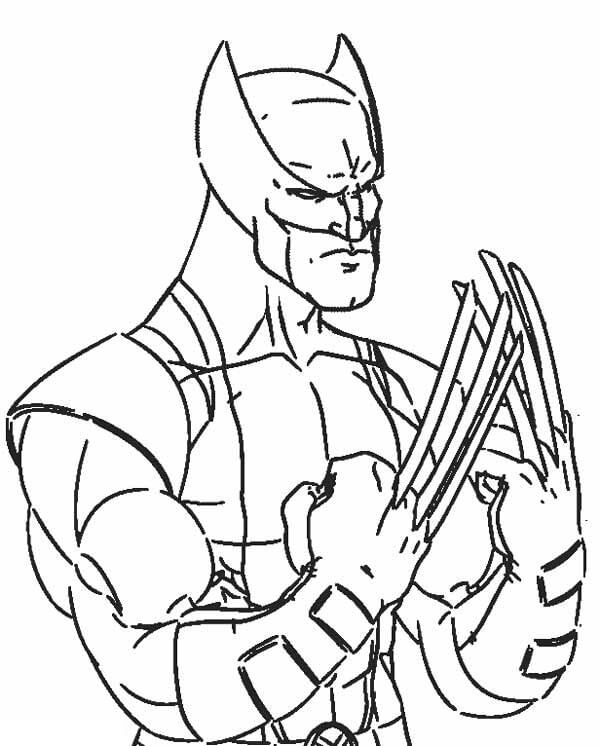 Wolverine with Claws