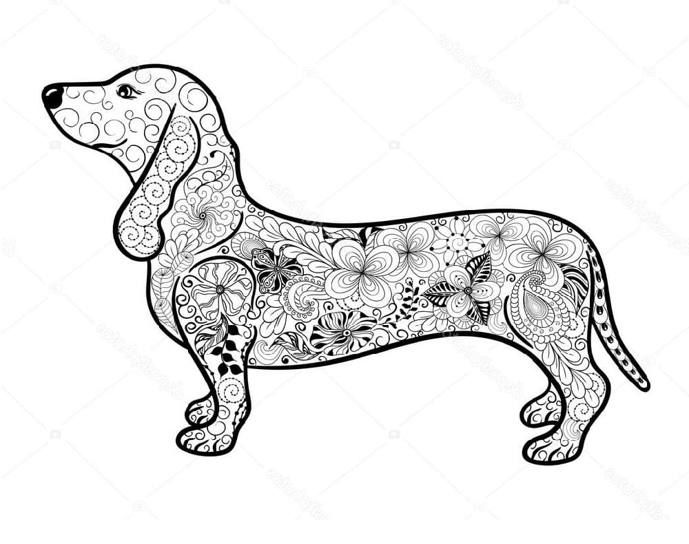 Dachshund Coloring Pages Free Printable Coloring Pages for Kids