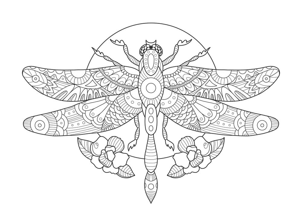 Wonderful Dragonfly Coloring Page - Free Printable Coloring Pages for Kids