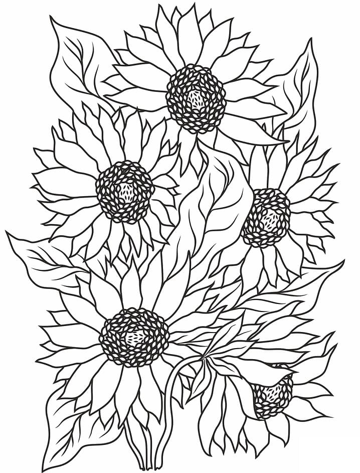 Wonderful Sunflowers