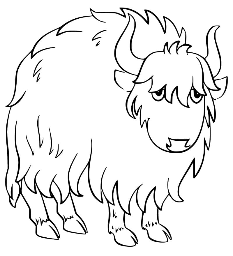 Yak Coloring Pages - Free Printable Coloring Pages for Kids