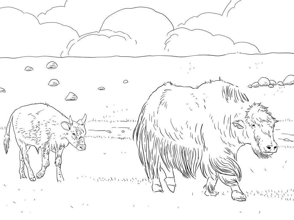 Yak Laughing Coloring Page - Free Printable Coloring Pages for Kids
