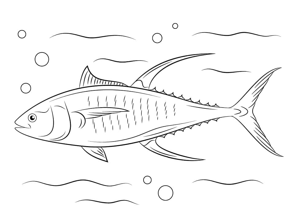 Yellowfin Tuna Fish
