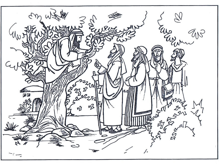 zacchaeus coloring page printable