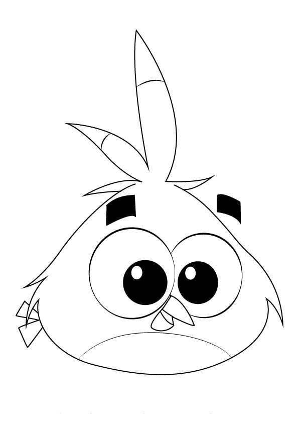 angry bird free printable coloring pages