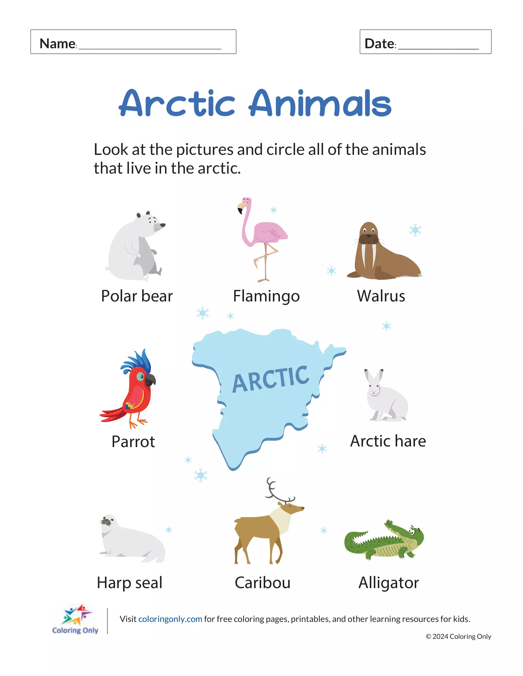 Arctic Animals Free Printable Worksheet