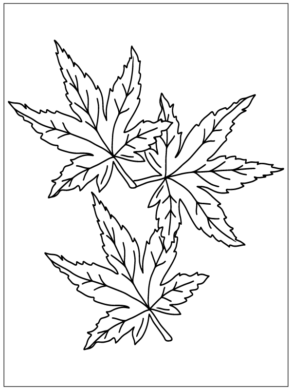 Autumn Lobed Leaves Coloring Page - Free Printable Coloring Pages for Kids