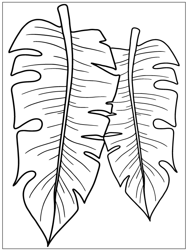 Leaf Coloring Pages - Free Printable Coloring Pages for Kids