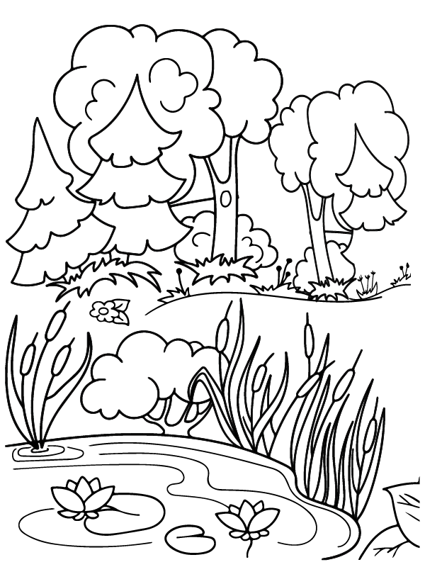 Forest Coloring Pages Free Printable Coloring Pages For Kids