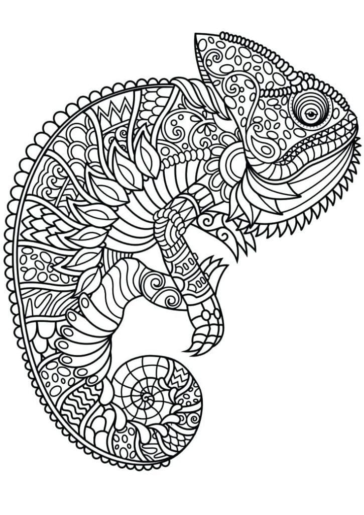 Chameleon Animal Mandala Coloring Page - Free Printable Coloring Pages for Kids Chameleon Animal Mandala Coloring Page - Free Printable Coloring Pages for Kids