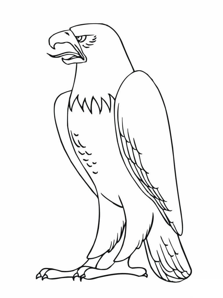 golden eagle coloring page