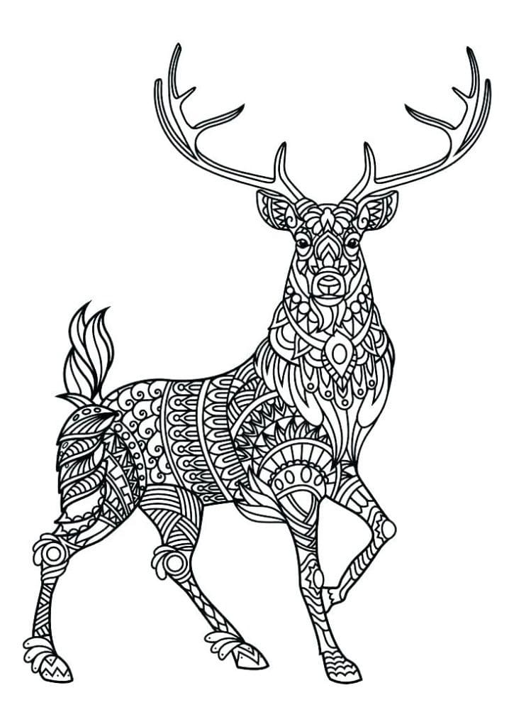 Deer Animal Mandala Coloring Page - Free Printable Coloring Pages for Kids