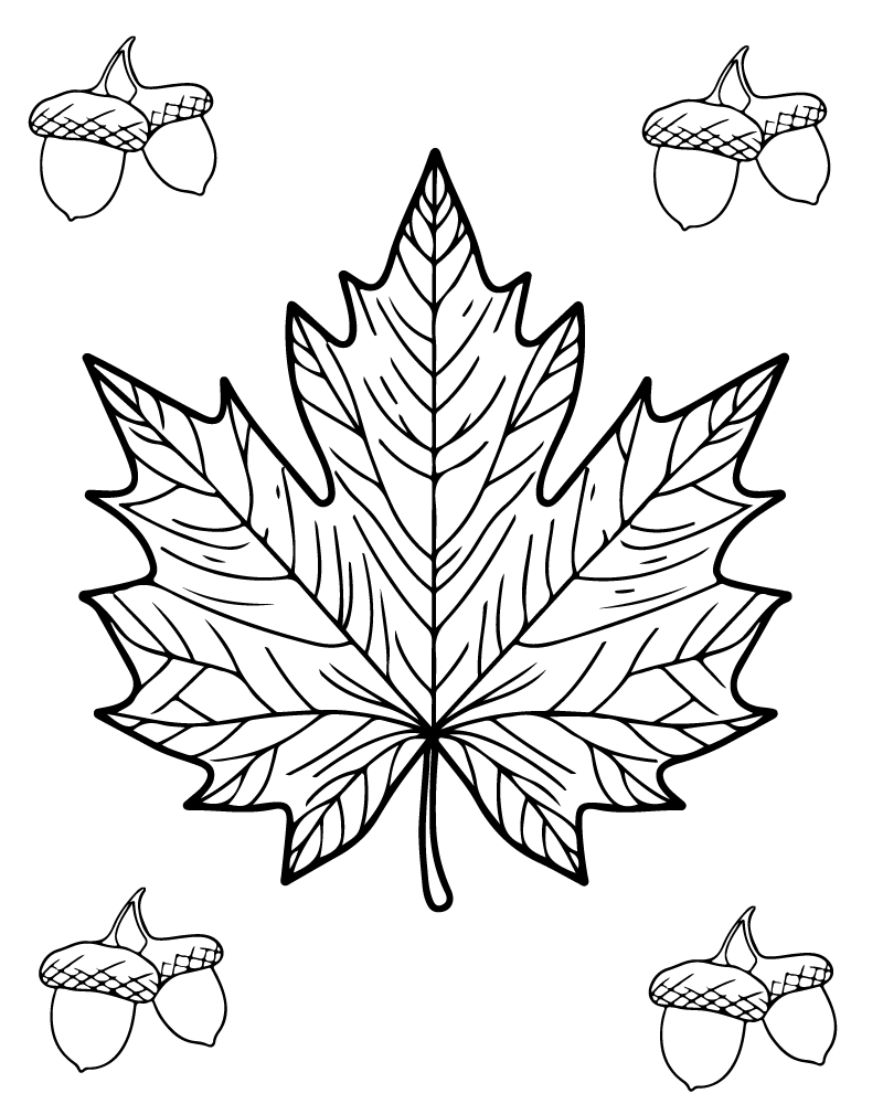 Printable Pictures Of Fall Leaves Fall Leaves Coloring Page Printable 