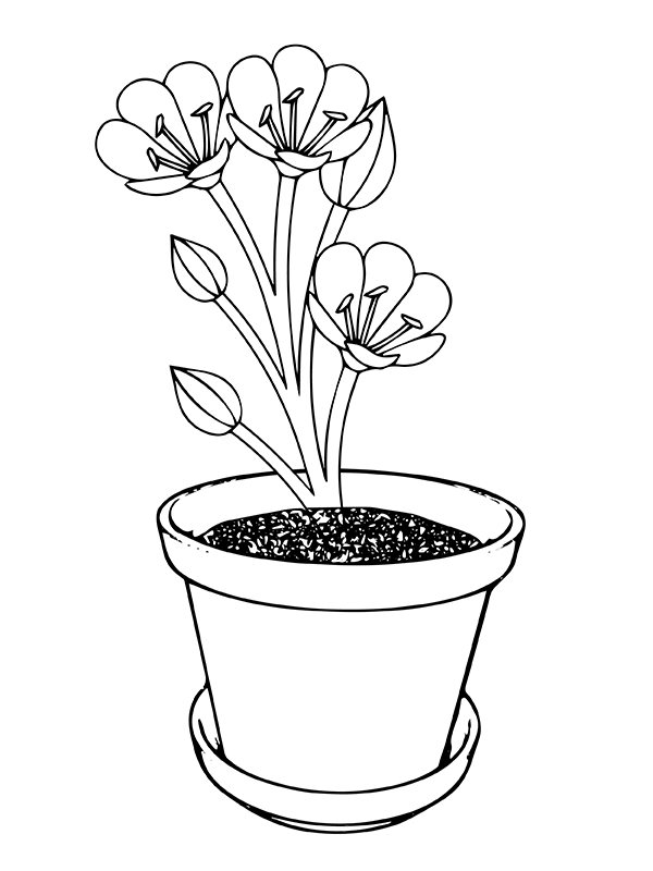 Easy Daisy Flower Coloring Page - Free Printable Coloring Pages for Kids