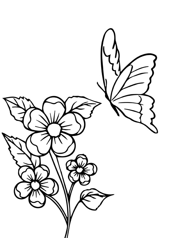 Floral Butterfly Coloring Sheet