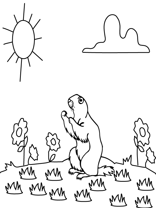 Exposed Groundhog Coloring Page - Free Printable Coloring Pages for Kids