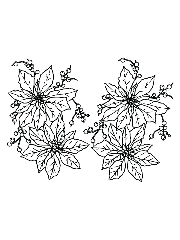 Free Printable Poinsettia Christmas Flowers Coloring Page - Free ...