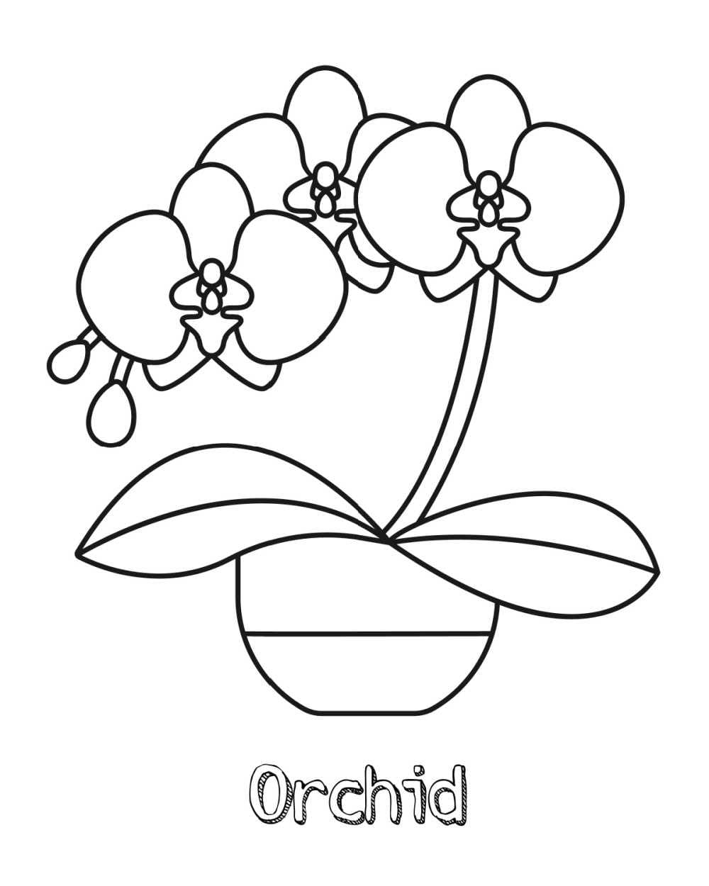orchid-coloring-pages-free-printable-coloring-pages-for-kids