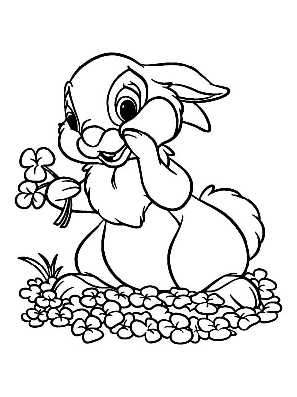 Pretty Easter Bunny and Flowers - Coloring Pages