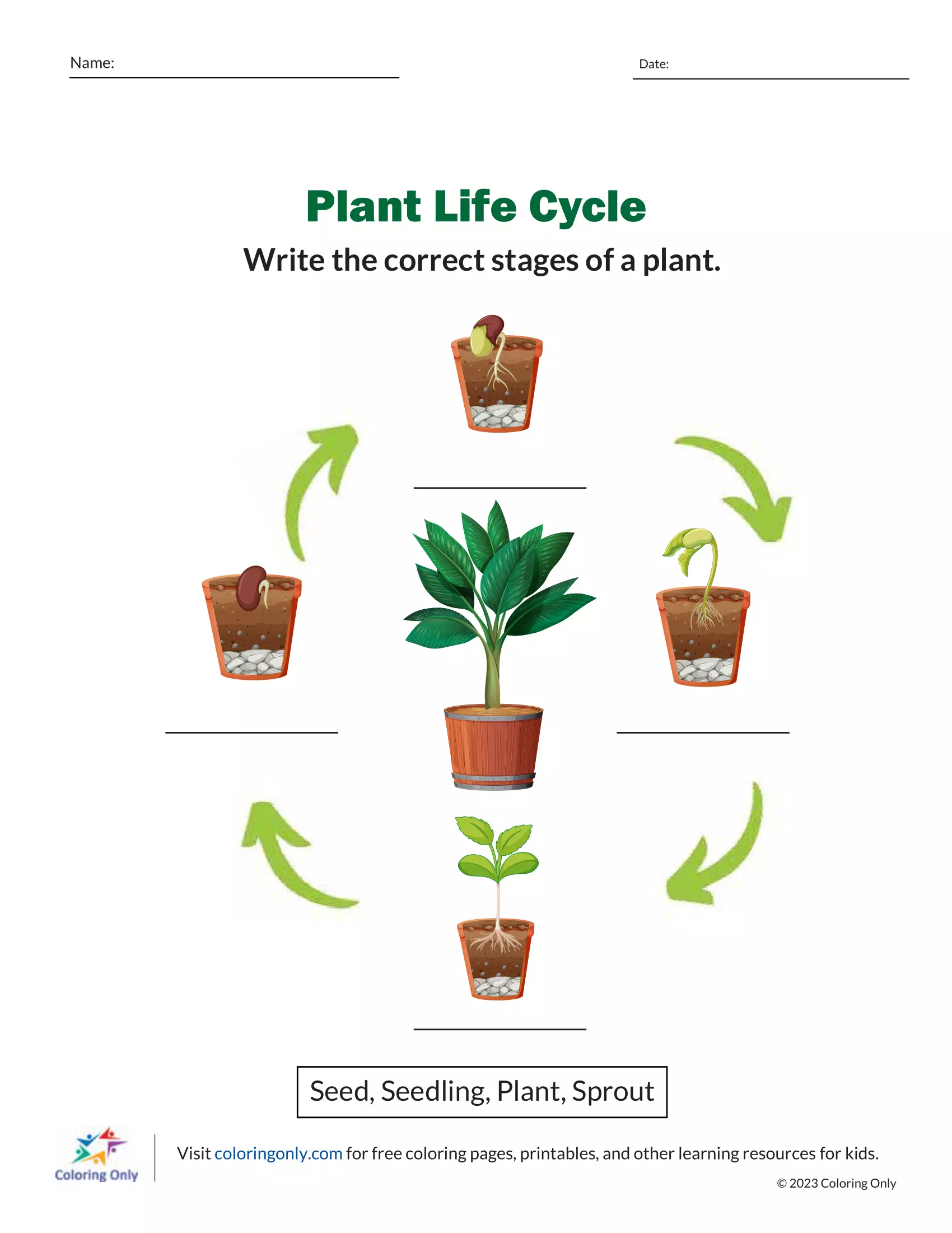 Life Cycle Of A Plant Unit Life Cycles Plants Planting